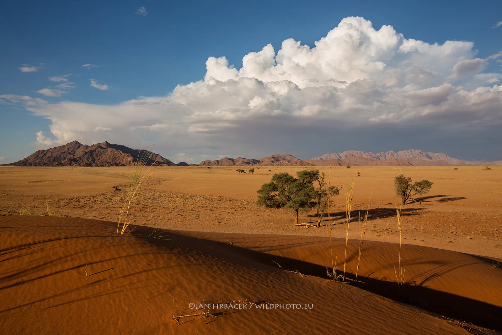 Namib-Naukluft NP, Namibie